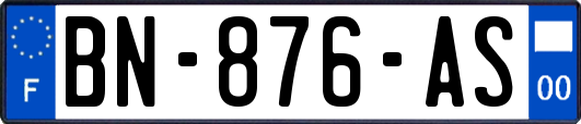 BN-876-AS