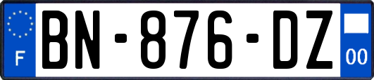 BN-876-DZ