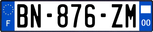 BN-876-ZM