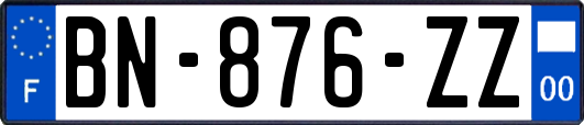 BN-876-ZZ