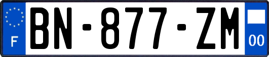 BN-877-ZM