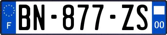 BN-877-ZS