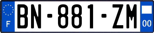 BN-881-ZM