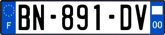 BN-891-DV