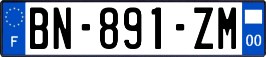 BN-891-ZM