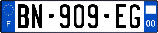 BN-909-EG