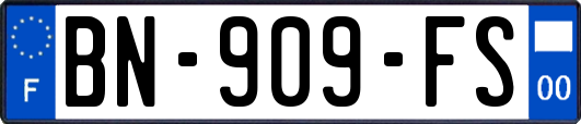 BN-909-FS