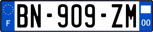 BN-909-ZM