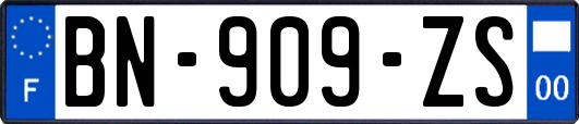 BN-909-ZS