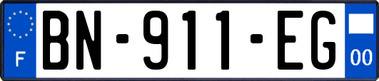 BN-911-EG