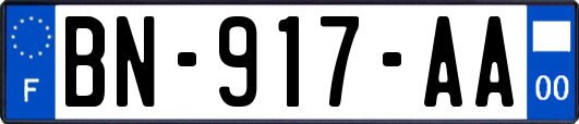 BN-917-AA