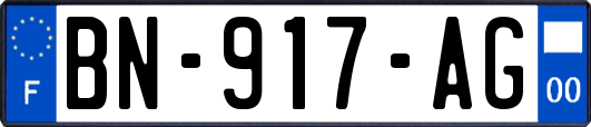 BN-917-AG