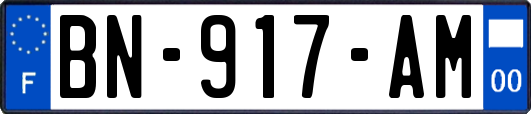 BN-917-AM