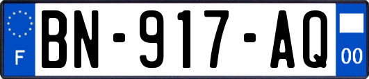 BN-917-AQ