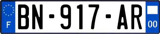 BN-917-AR