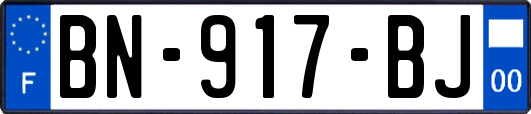 BN-917-BJ