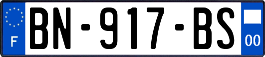 BN-917-BS