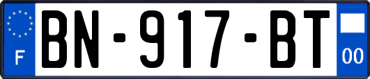 BN-917-BT