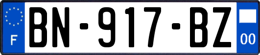 BN-917-BZ