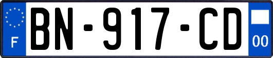BN-917-CD