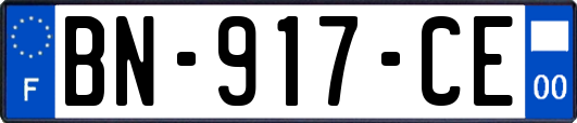 BN-917-CE