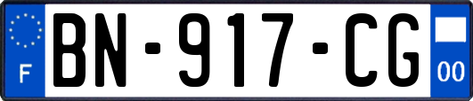 BN-917-CG