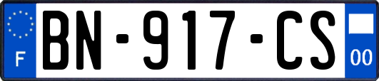 BN-917-CS