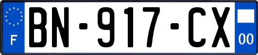 BN-917-CX