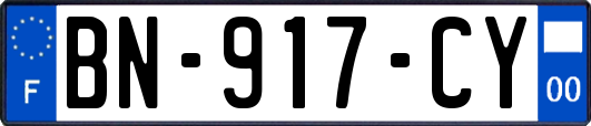 BN-917-CY