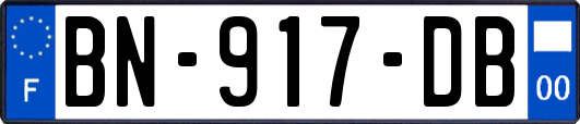 BN-917-DB