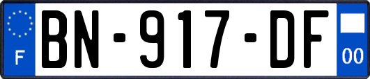 BN-917-DF