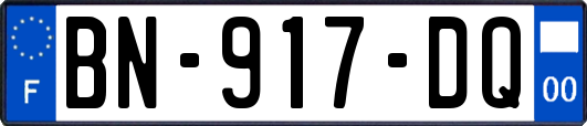 BN-917-DQ