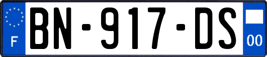 BN-917-DS