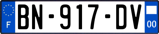 BN-917-DV
