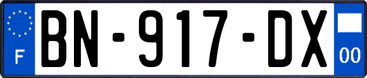 BN-917-DX