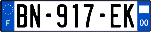 BN-917-EK