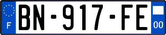 BN-917-FE