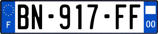 BN-917-FF