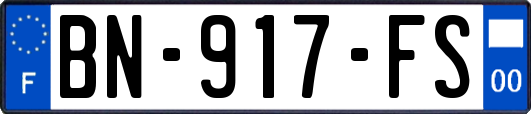 BN-917-FS