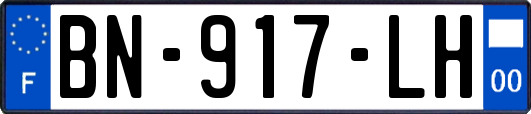 BN-917-LH