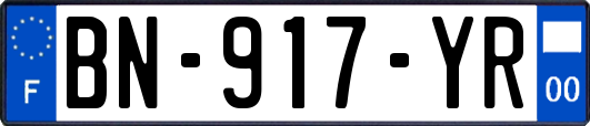BN-917-YR