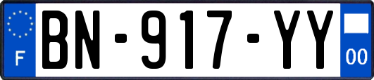 BN-917-YY