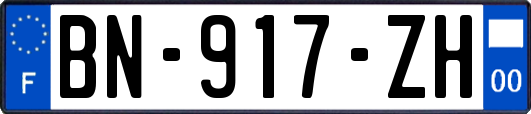 BN-917-ZH