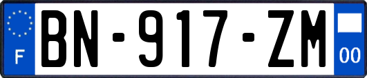 BN-917-ZM