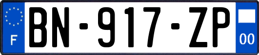 BN-917-ZP