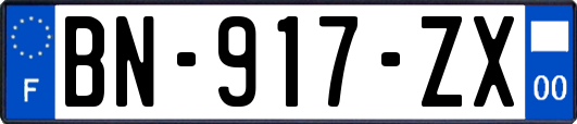 BN-917-ZX