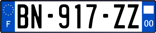 BN-917-ZZ