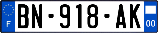 BN-918-AK