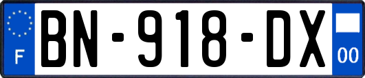 BN-918-DX