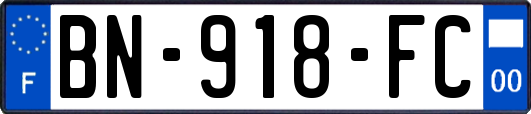 BN-918-FC